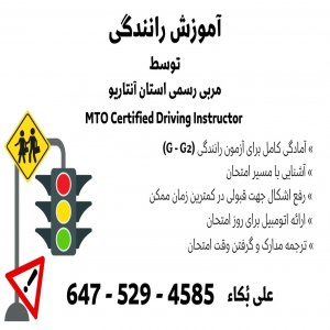 Ali Boka Driving Instructor